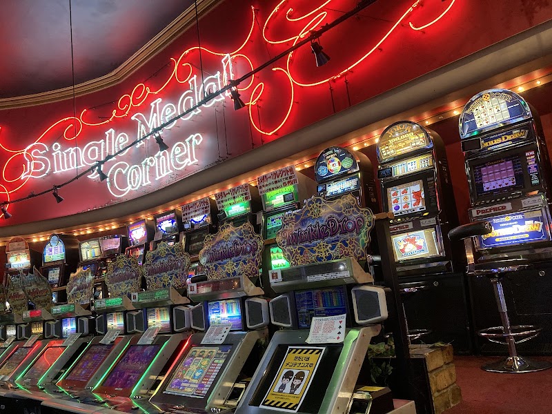 ベネクス川崎店 - 写真 10