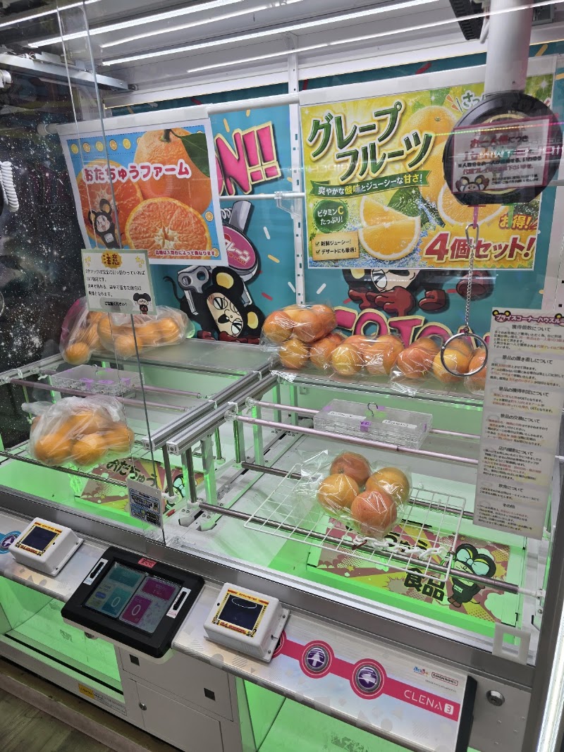 iクレーン 龍ケ崎店 - 写真 4