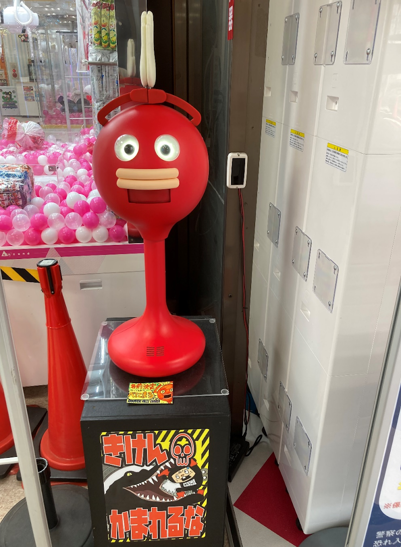おたちゅう赤道店 - 写真 10