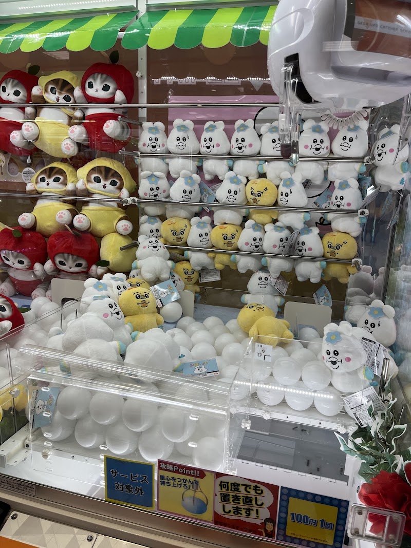 アミュージアム 豊洲店 - 写真 6