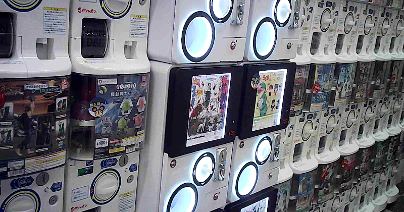 おたちゅう小山店 - 写真 7