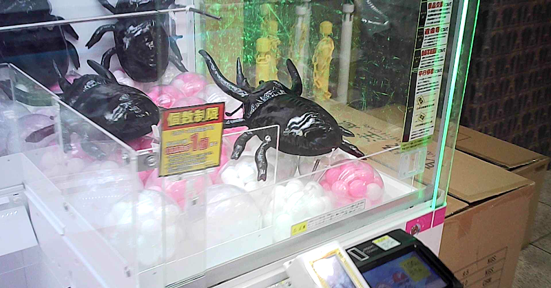 おたちゅう小山店 - 写真 10