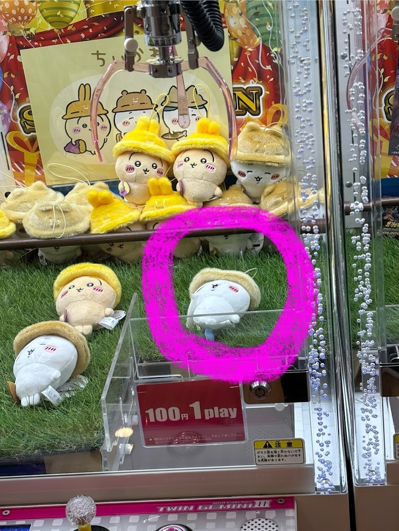 アピナ浜松店 - 写真 9