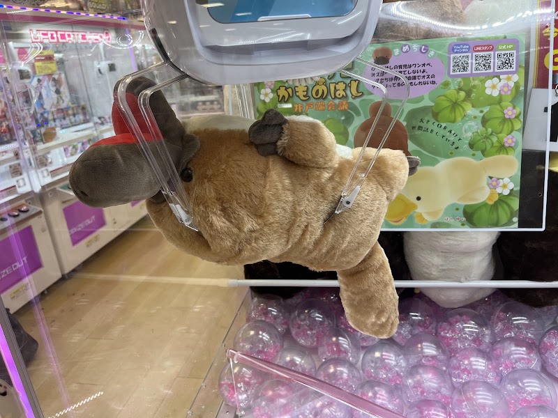 テクモピア川越店 - 写真 5